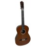Guitarra Flamenca de Javier Castaño 2021