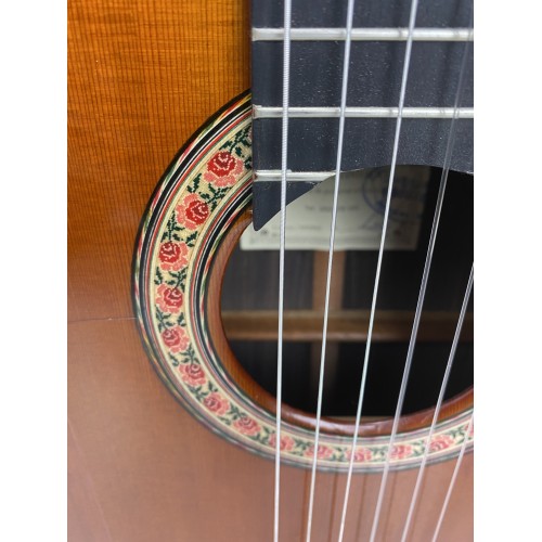 Guitarra Flamenca de Javier Castaño 2021