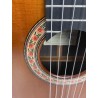 Guitarra Flamenca de Javier Castaño 2021