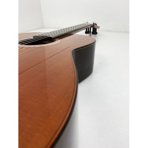 Guitarra Flamenca de Javier Castaño 2021