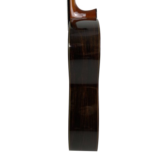 Guitarra Flamenca de Javier Castaño 2021