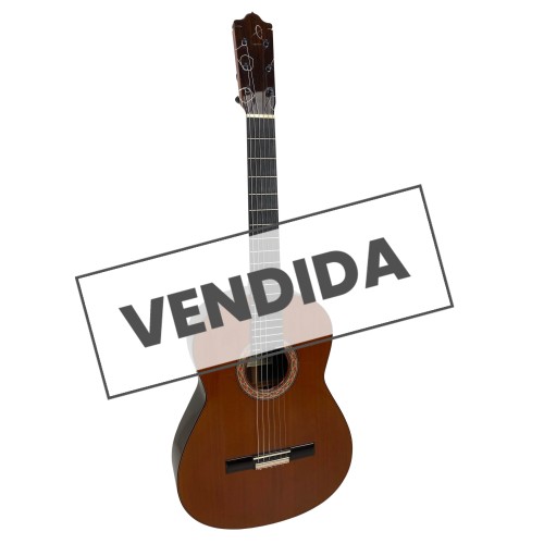 Guitarra Flamenca de Javier Castaño 2021