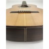 Guitarra Fernando Caldera Lidia 2020