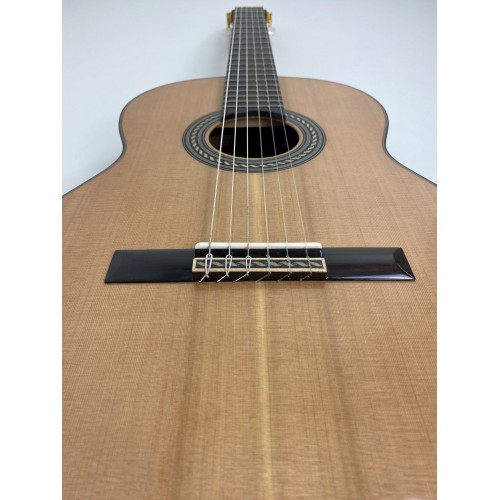 Guitarra Fernando Caldera Lidia 2020