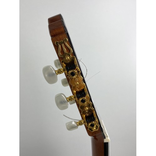 Guitarra Fernando Caldera Lidia 2020