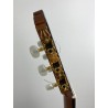 Guitarra Fernando Caldera Lidia 2020