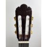 Guitarra Fernando Caldera Lidia 2020