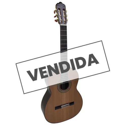 Guitarra Fernando Caldera Jade 2019