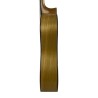 Guitarra Rosalino Daza Poplar Amazonas 2019