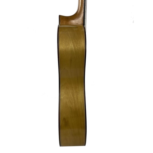 Guitarra Rosalino Daza Poplar Amazonas 2019