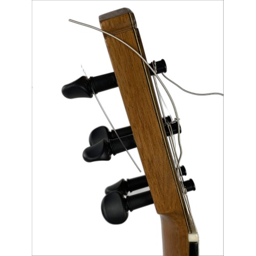 Guitarra Rosalino Daza Poplar Amazonas 2019