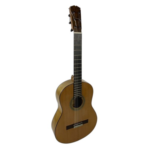 Guitarra Rosalino Daza Poplar Amazonas 2019