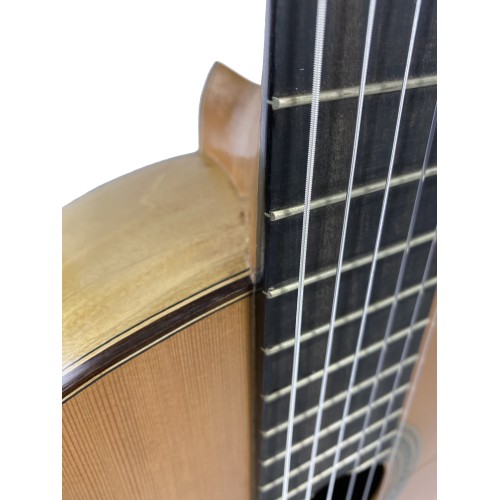 Guitarra Rosalino Daza Poplar Amazonas 2019