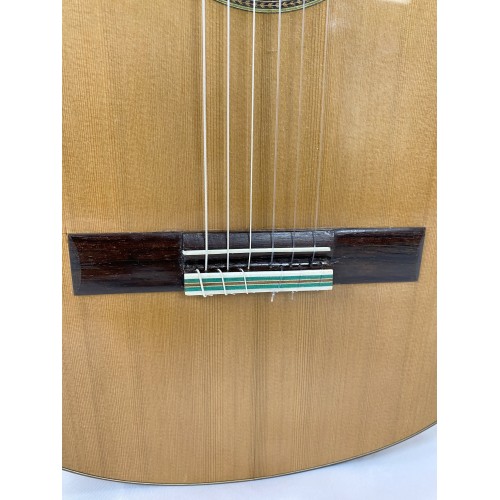 Guitarra Rosalino Daza Poplar Amazonas 2019