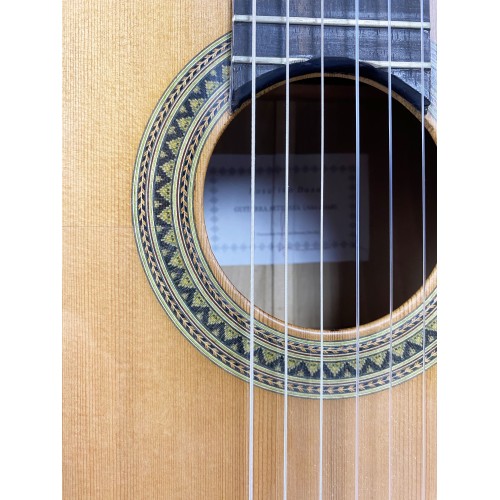 Guitarra Rosalino Daza Poplar Amazonas 2019