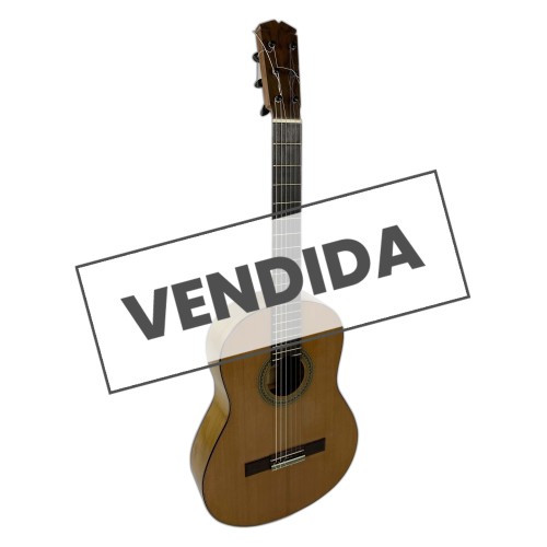 Guitarra Rosalino Daza Poplar Amazonas 2019
