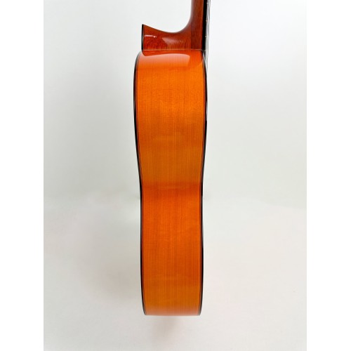 Guitarra Flamenca de José Romero del 2019
