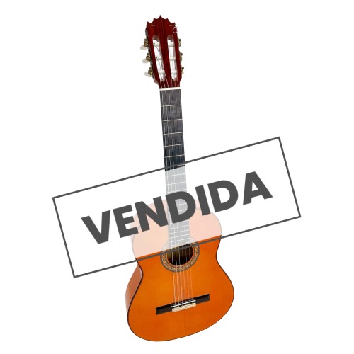Guitarra Flamenca de José Romero del 2019