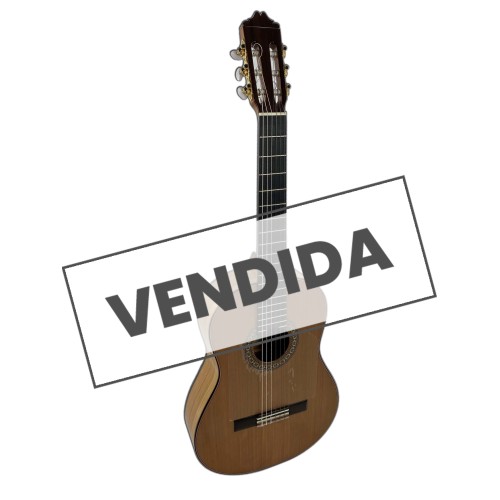 Guitarra Flamenca Valeriano Bernal Prodigio Especial 2020