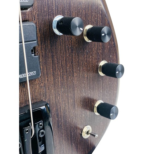 Bajo Eléctrico Danis Parris Custom Modelo Gravity