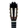 Guitarra Flamenca Juan Adrián de Ramos Ciprés Abeto Estudio