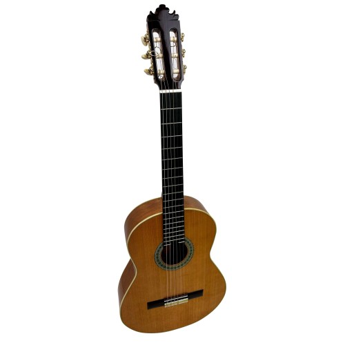 Guitarra Flamenca de Andrés Domínguez 2021