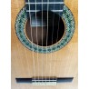 Guitarra Flamenca de Andrés Domínguez 2021