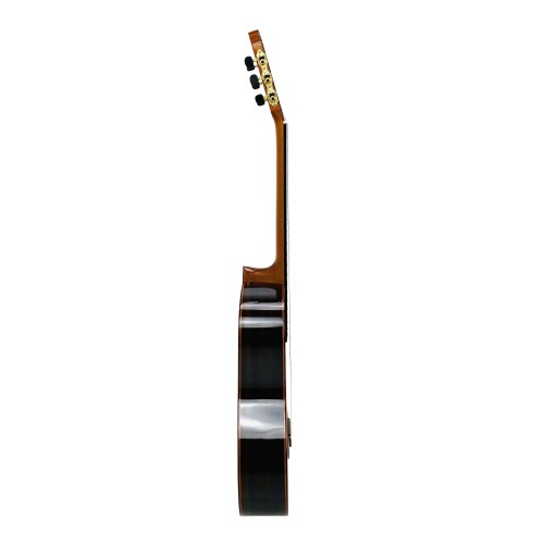 Guitarra Flamenca de Amalio Burguet modelo Negra