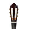 ▷ Guitarra Flamenca de Vicente Carrillo mod. Alegría Negra