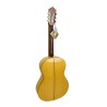 GUITARRA FLAMENCA PACO CASTILLO 214F