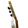 GUITARRA FLAMENCA PACO CASTILLO 215F