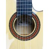 GUITARRA FLAMENCA PACO CASTILLO 223FCE Blend