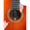 Guitarra Flamenca Antonio de Toledo ATF-17NRE CUT con Cutaway y Previo Fishman PSY-301, palosanto teñida de Rojo