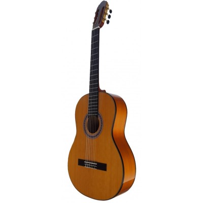 Guitarra Flamenca Vicente Tatay C320.301F