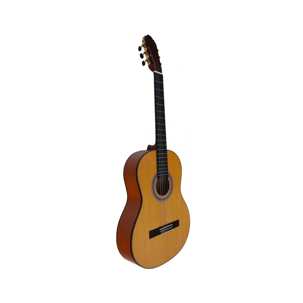 Guitarra Flamenca Vicente Tatay C320.301F