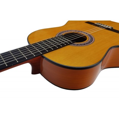 Guitarra Flamenca Vicente Tatay C320.301F