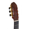 Guitarra Flamenca Vicente Tatay C320.301F