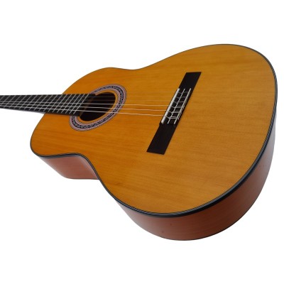 Guitarra Flamenca Vicente Tatay C320.301F