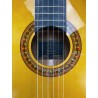 Guitarra Antonio de Toledo ATF-17BA Ámbar