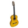 Guitarra Antonio de Toledo ATF-17BA Ámbar