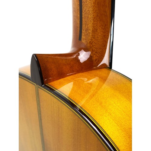 Guitarra Antonio de Toledo ATF-17BA Ámbar