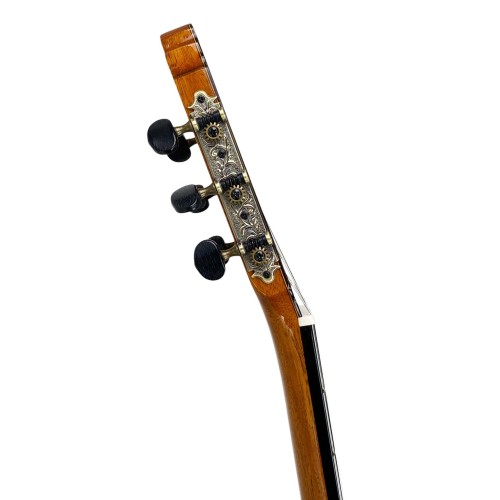 Guitarra Antonio de Toledo ATF-17BA Ámbar
