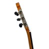 Guitarra Antonio de Toledo ATF-17BA Ámbar