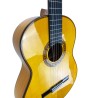 Guitarra Antonio de Toledo ATF-17BA Ámbar