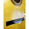 Guitarra Antonio de Toledo ATF-17BA Ámbar