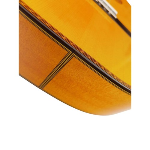 Guitarra Antonio de Toledo ATF-17BA Ámbar