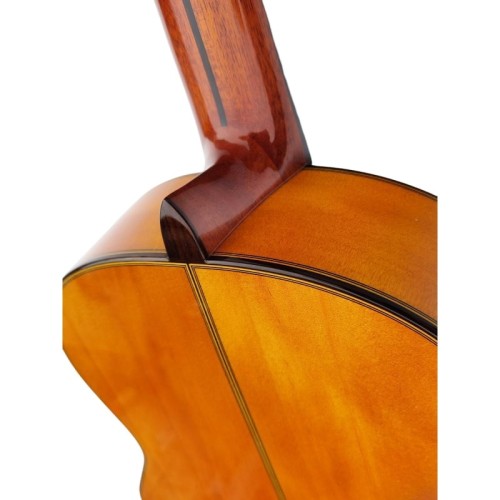 Guitarra Antonio de Toledo ATF-17BA Ámbar