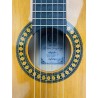 Guitarra Flamenca Alfonso González Mod. Flamenca 1C