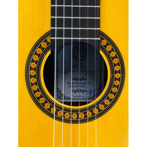 Guitarra Flamenca Alfonso González Mod. Flamenca 1N