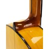 Guitarra Flamenca Alfonso González Mod. Flamenca 2
